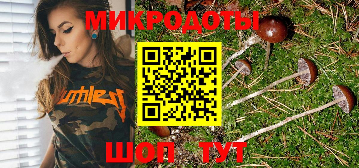 Псилоцибиновые грибы Magic Shrooms Губкинский