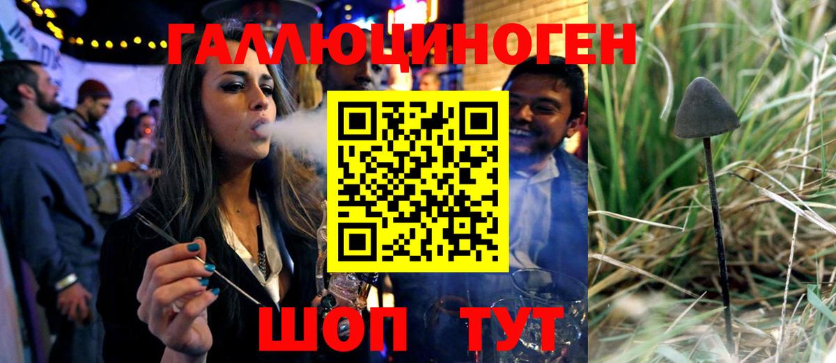 Губкинский  Галлюциногенные грибы ЛСД  Вход с VPN  наркота  Псилоцибиновые грибы мухоморы 