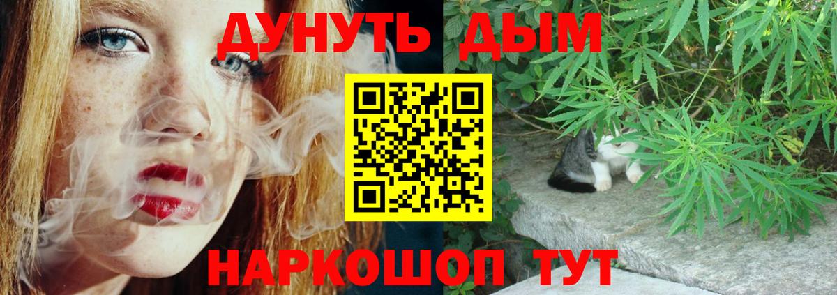 Каннабис планчик  Марихуана VHQ  Конопля AK-47  Губкинский  Вход с VPN  Каннабис семена 
